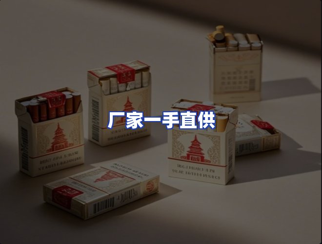 专业团队